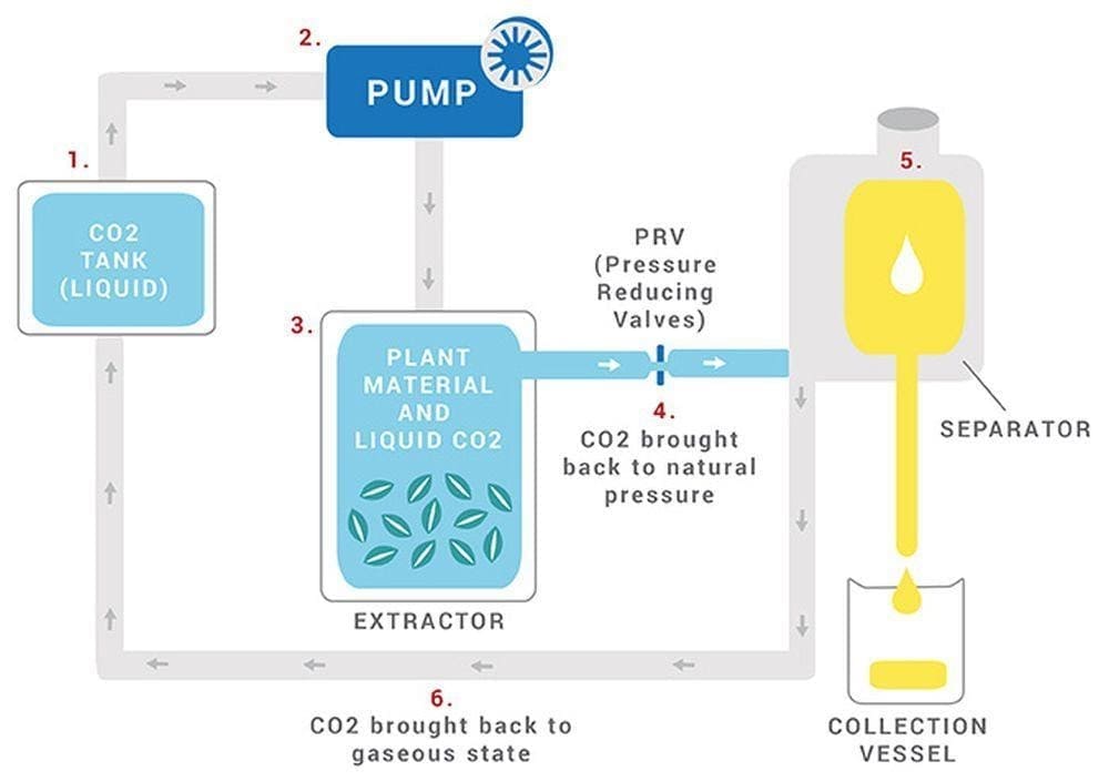 CO₂ Extraction Process