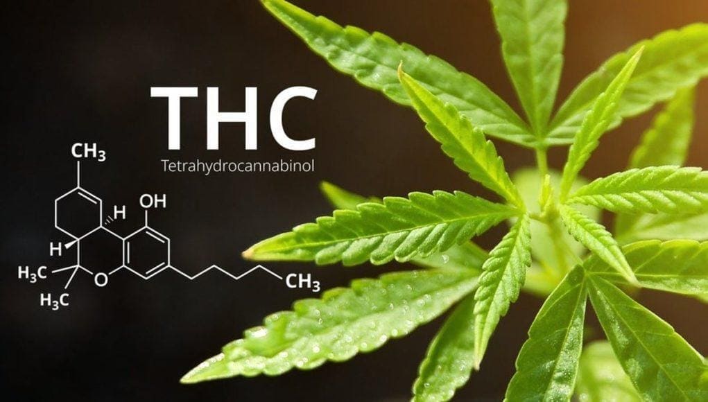 Tetrahydrocannabinol