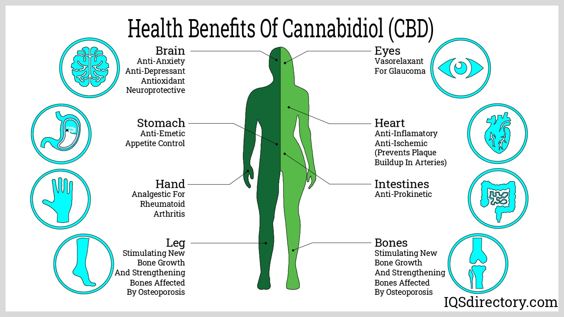 Health-Benefits-of-Cannabidiol-Oil